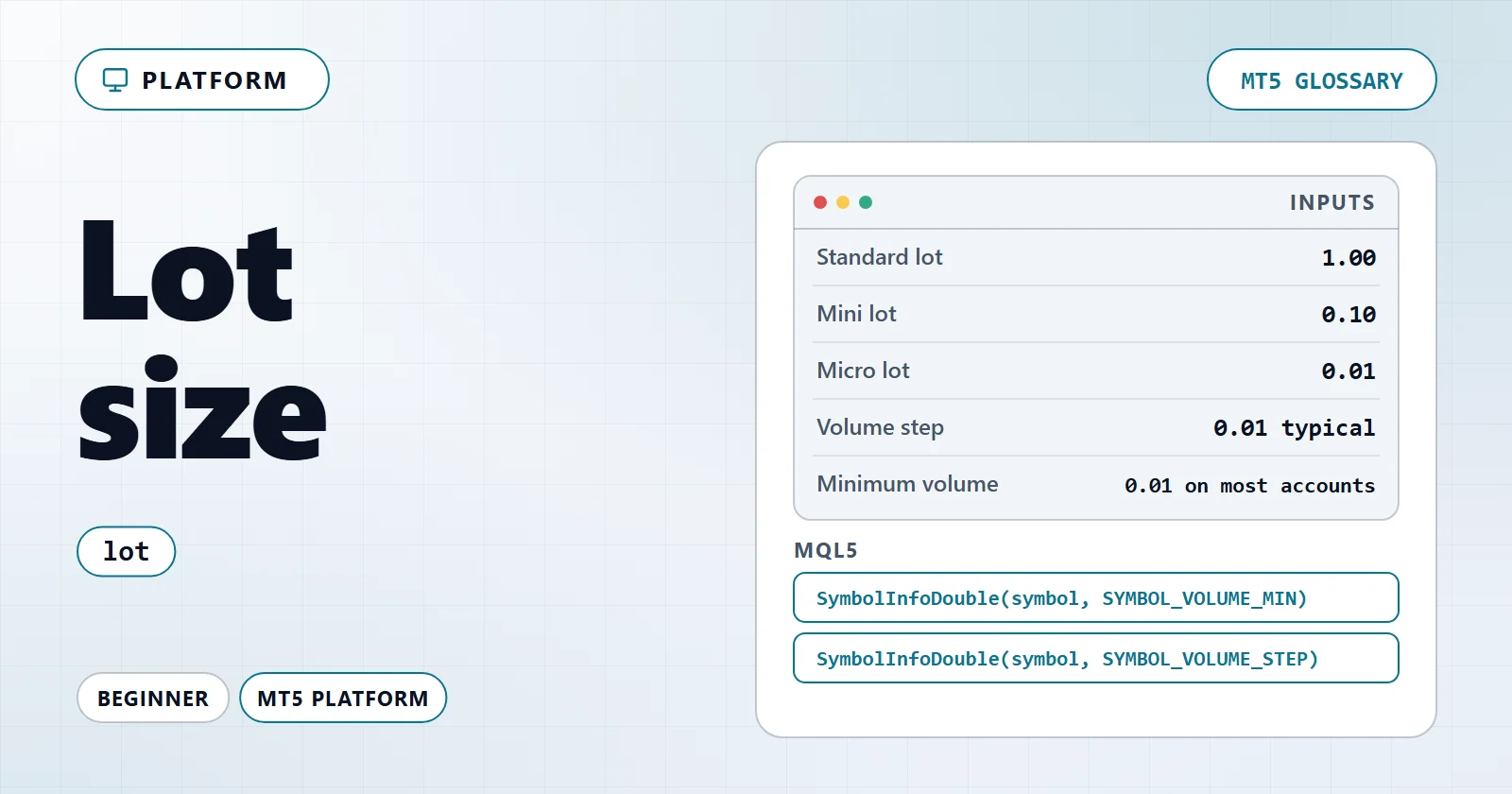 랏 크기 — MT5 glossary overview
